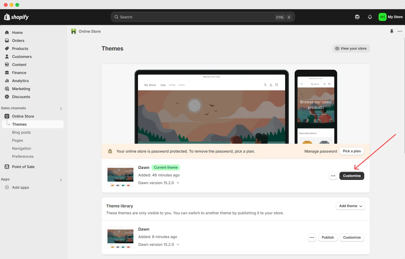 Shopify preview theme