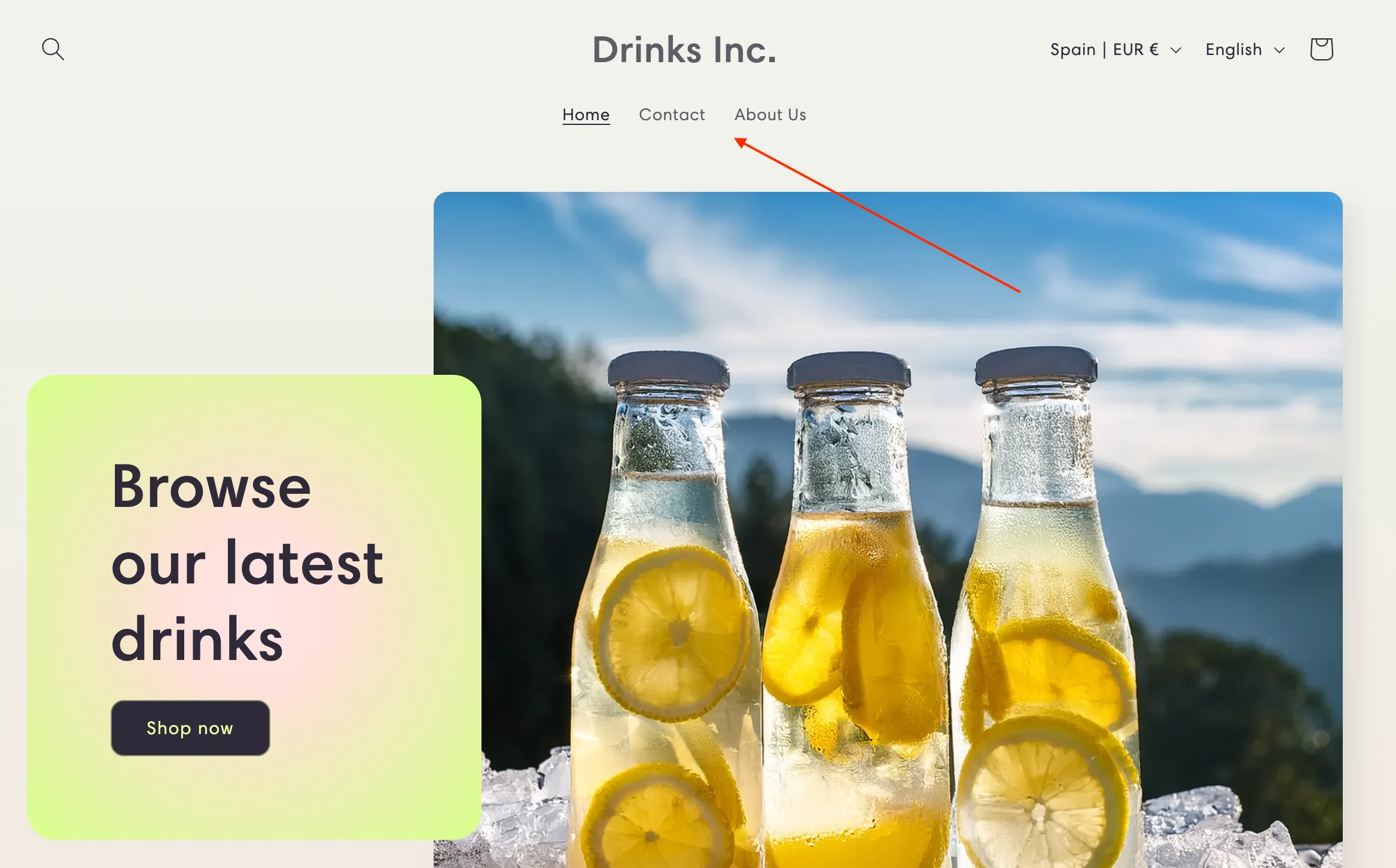 Shopify store with 3 one level menu items